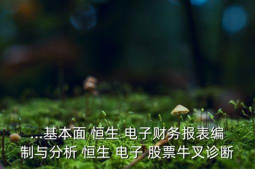 ...基本面 恒生 電子財務(wù)報表編制與分析 恒生 電子 股票牛叉診斷