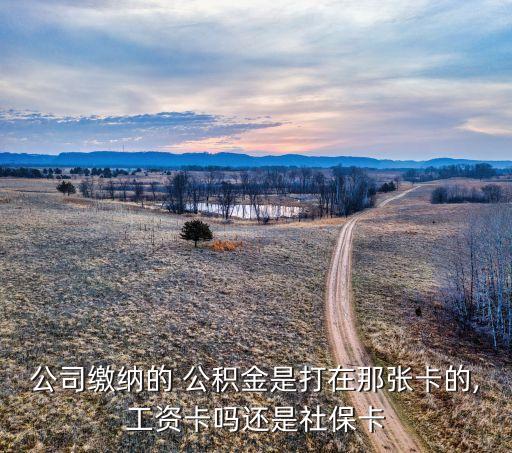 公司繳納的 公積金是打在那張卡的,工資卡嗎還是社?？? class=