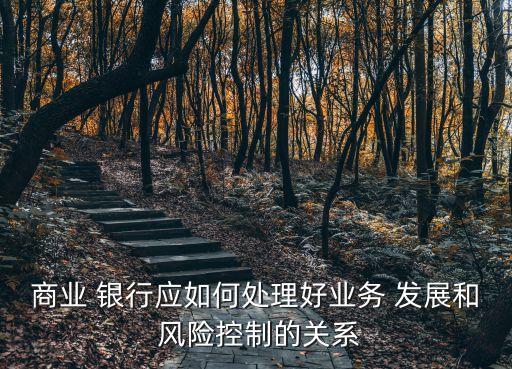 銀行發(fā)展與風(fēng)險,銀行全面風(fēng)險管理