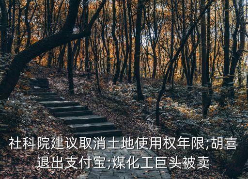安徽中銀拍賣(mài)有限公司,安徽盤(pán)龍企業(yè)拍賣(mài)集團(tuán)有限公司