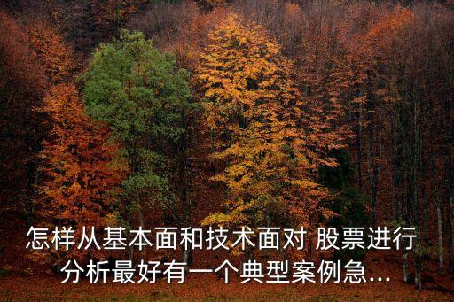 怎樣從基本面和技術面對 股票進行 分析最好有一個典型案例急...