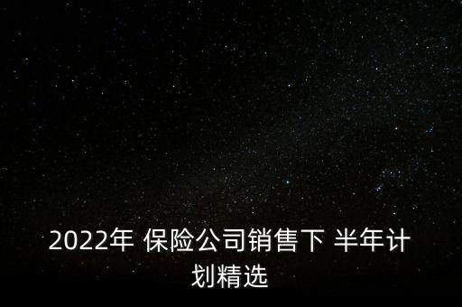 2022年 保險公司銷售下 半年計(jì)劃精選