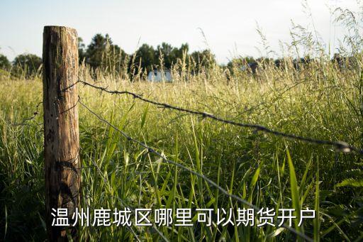 溫州鹿城區(qū)哪里可以期貨開(kāi)戶