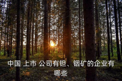 中國 上市 公司有鉭、銦礦的企業(yè)有哪些
