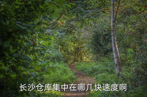 長(zhǎng)沙倉庫集中在哪幾塊速度啊