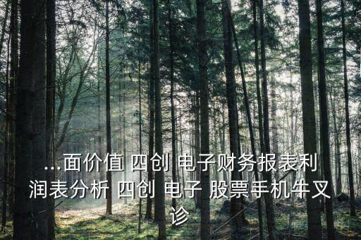 ...面價值 四創(chuàng) 電子財務報表利潤表分析 四創(chuàng) 電子 股票手機牛叉診