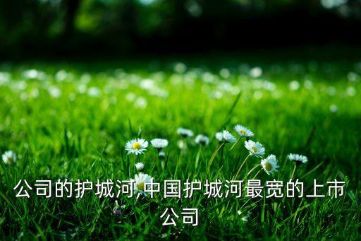 上市公司的護(hù)城河,中國(guó)護(hù)城河最寬的上市公司