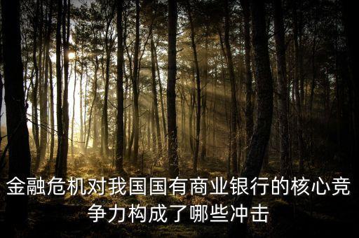 金融危機(jī)對(duì)我國國有商業(yè)銀行的核心競爭力構(gòu)成了哪些沖擊