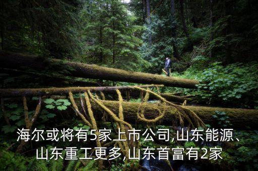 海爾或?qū)⒂?家上市公司,山東能源、山東重工更多,山東首富有2家