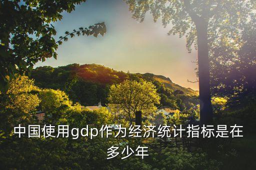 中國使用gdp作為經(jīng)濟統(tǒng)計指標是在多少年