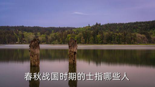 春秋戰(zhàn)國時期的士指哪些人