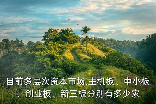 目前多層次資本市場(chǎng),主機(jī)板、中小板、創(chuàng)業(yè)板、新三板分別有多少家