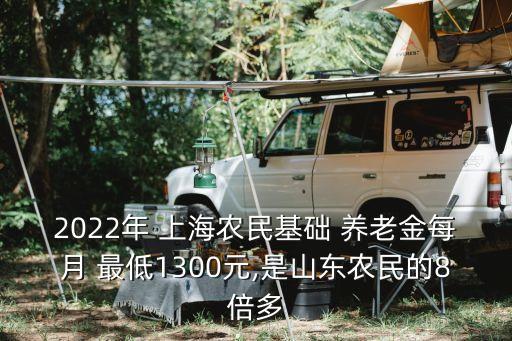 2022年 上海農(nóng)民基礎 養(yǎng)老金每月 最低1300元,是山東農(nóng)民的8倍多