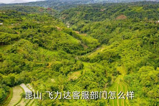 昆山 飛力達(dá)客服部門(mén)怎么樣