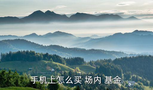 基金場(chǎng)內(nèi)交易在哪買,國(guó)泰君安場(chǎng)內(nèi)基金交易費(fèi)率