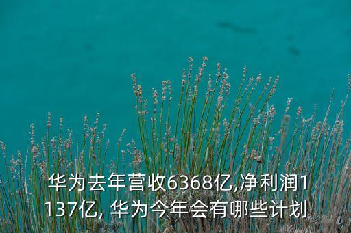  華為去年?duì)I收6368億,凈利潤1137億, 華為今年會(huì)有哪些計(jì)劃