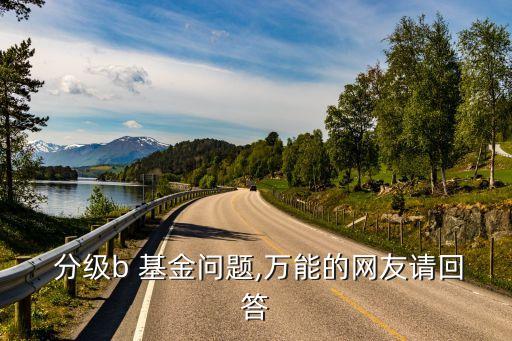  分級(jí)b 基金問(wèn)題,萬(wàn)能的網(wǎng)友請(qǐng)回答
