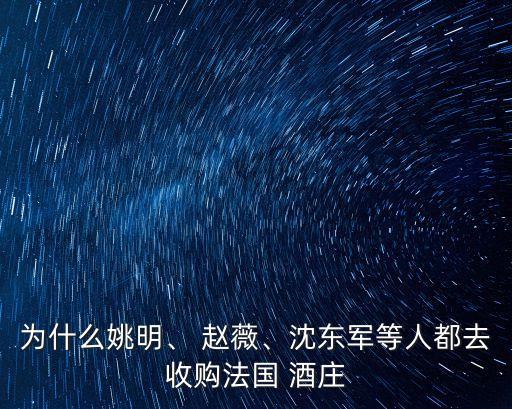 為什么姚明、 趙薇、沈東軍等人都去收購法國 酒莊