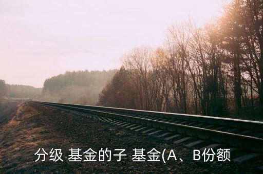  分級(jí) 基金的子 基金(A、B份額