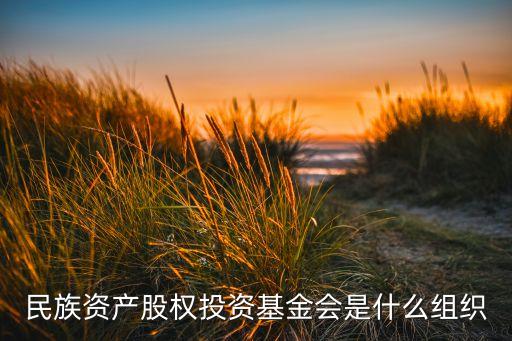 美盛凱利美國大型資本增長(zhǎng)基金
