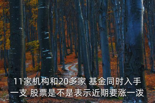 基金拉升股票,基金下午拉升說(shuō)明什么