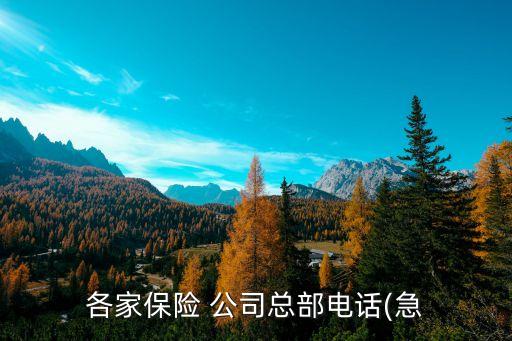 各家保險(xiǎn) 公司總部電話(急