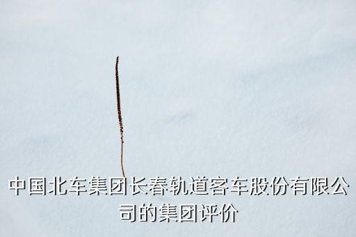 中國(guó)北車集團(tuán)長(zhǎng)春軌道客車股份有限公司的集團(tuán)評(píng)價(jià)