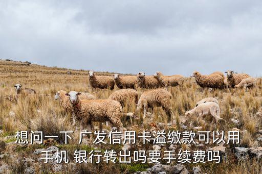 廣發(fā)手機(jī)銀行收費,廣發(fā)企業(yè)手機(jī)銀行app下載
