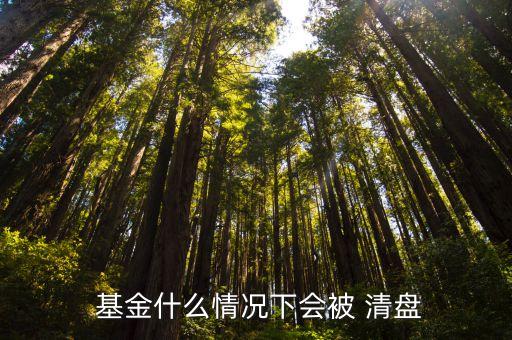  基金什么情況下會(huì)被 清盤