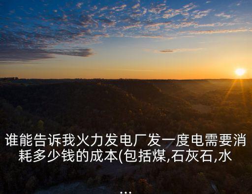 誰(shuí)能告訴我火力發(fā)電廠發(fā)一度電需要消耗多少錢(qián)的成本(包括煤,石灰石,水...