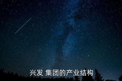  興發(fā) 集團的產業(yè)結構