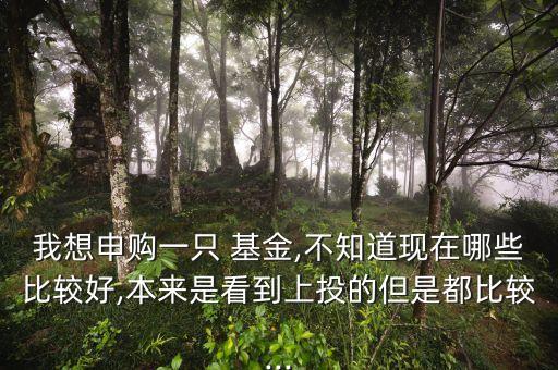 我想申購(gòu)一只 基金,不知道現(xiàn)在哪些比較好,本來是看到上投的但是都比較...
