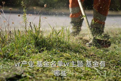 vr產業(yè) 基金名單vr主題 基金有哪些