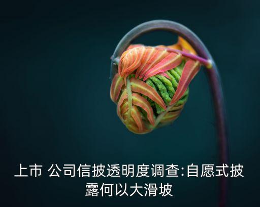 上市 公司信披透明度調查:自愿式披露何以大滑坡