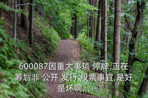 600087因重大事項(xiàng) 停牌,正在籌劃非 公開(kāi) 發(fā)行 股票事宜,是好是壞啊...