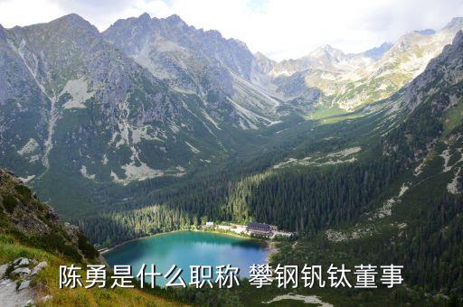 陳勇是什么職稱(chēng) 攀鋼釩鈦董事