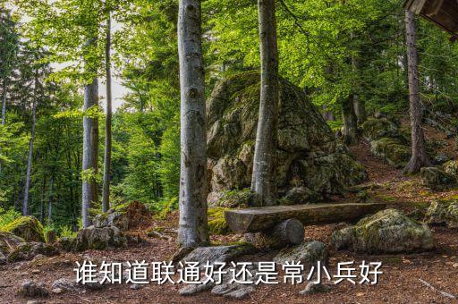 誰知道聯通好還是常小兵好