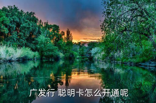  廣發(fā)行 聰明卡怎么開(kāi)通呢