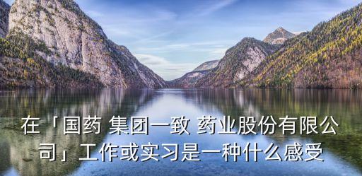 在「國(guó)藥 集團(tuán)一致 藥業(yè)股份有限公司」工作或?qū)嵙?xí)是一種什么感受