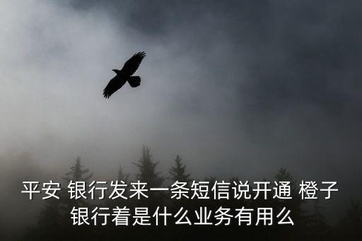平安 銀行發(fā)來(lái)一條短信說(shuō)開(kāi)通 橙子 銀行著是什么業(yè)務(wù)有用么