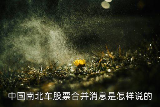 中國(guó)南北車股票合并消息是怎樣說的