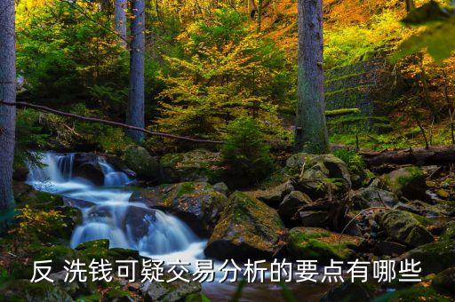 網(wǎng)上銀行反洗錢及反恐融資的難點(diǎn)與對(duì)策