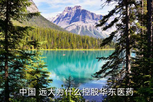 遠(yuǎn)大遠(yuǎn)大集團,遠(yuǎn)大控股和遠(yuǎn)大集團是一家嗎