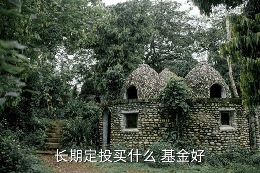 長(zhǎng)期定投買(mǎi)什么 基金好
