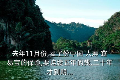 中國(guó)人壽鑫易寶揭秘