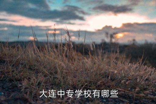  大連中專(zhuān)學(xué)校有哪些