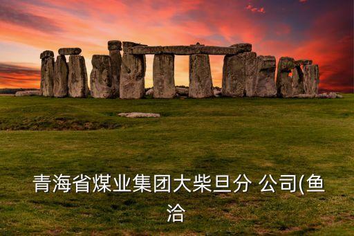  青海省煤業(yè)集團大柴旦分 公司(魚洽