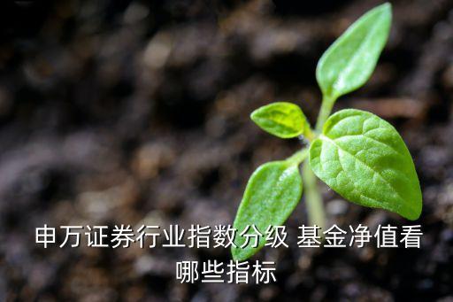  申萬證券行業(yè)指數(shù)分級 基金凈值看哪些指標(biāo)