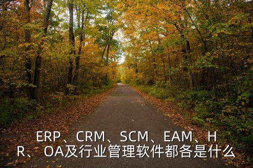 ERP、CRM、SCM、EAM、HR、 OA及行業(yè)管理軟件都各是什么