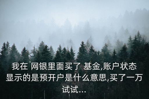 我在 網(wǎng)銀里面買了 基金,賬戶狀態(tài)顯示的是預(yù)開戶是什么意思,買了一萬(wàn)試試...